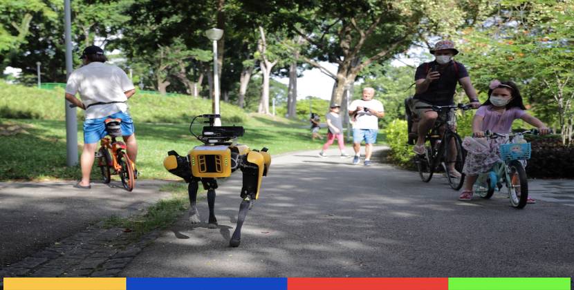 Vidéo : à Singapour, un chien-robot (flippant) fait respecter les distances de sécurité