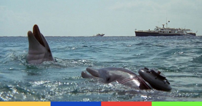 Guerre en Ukraine : l’armée russe utilise des "dauphins de guerre"